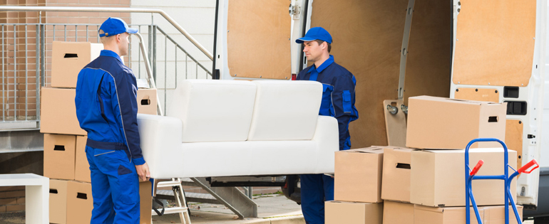 Trans Move Relocation Packers